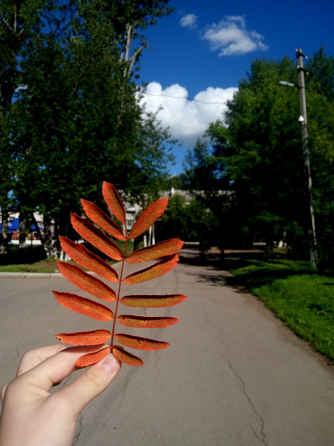 Осень-летом