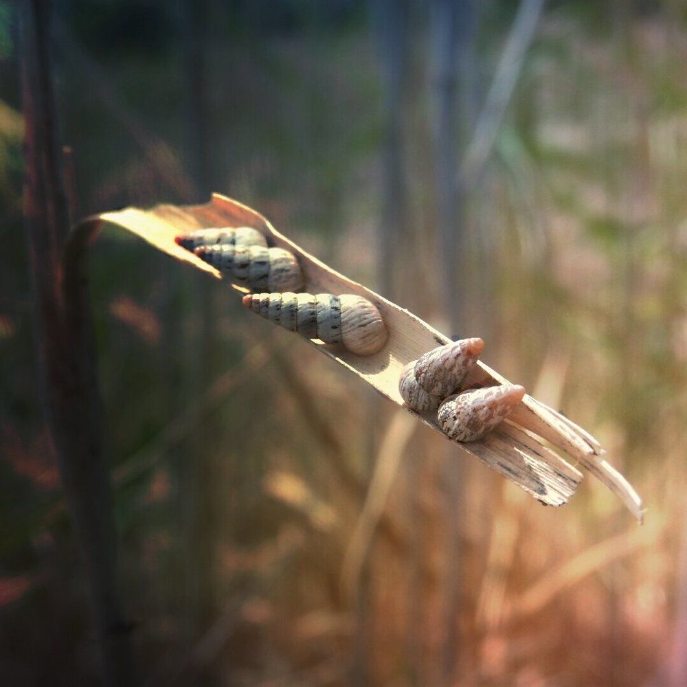 Photograph by Наталья