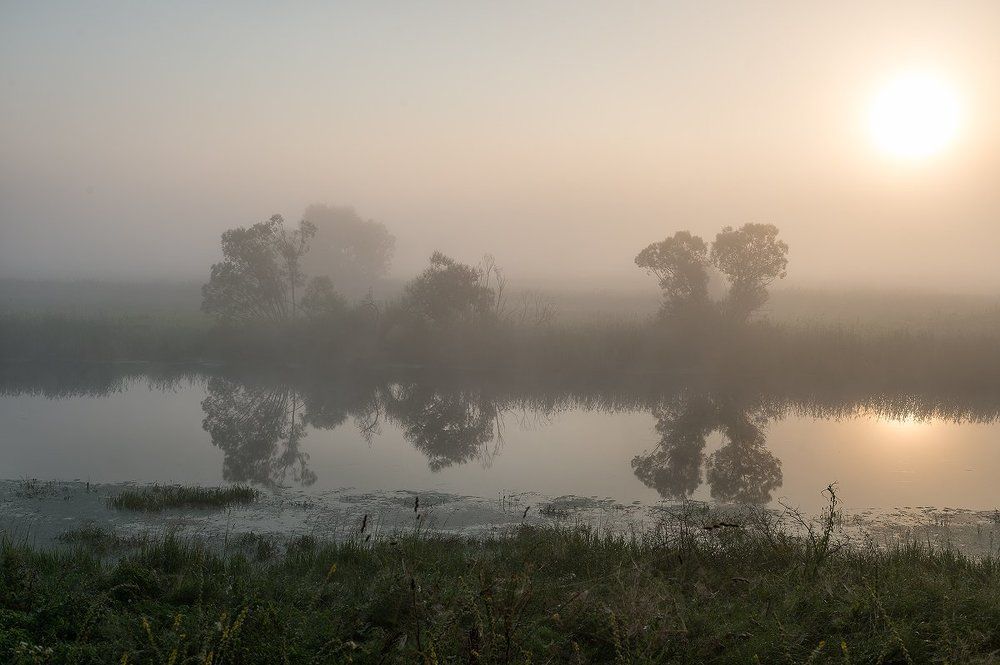 Туманные дали
