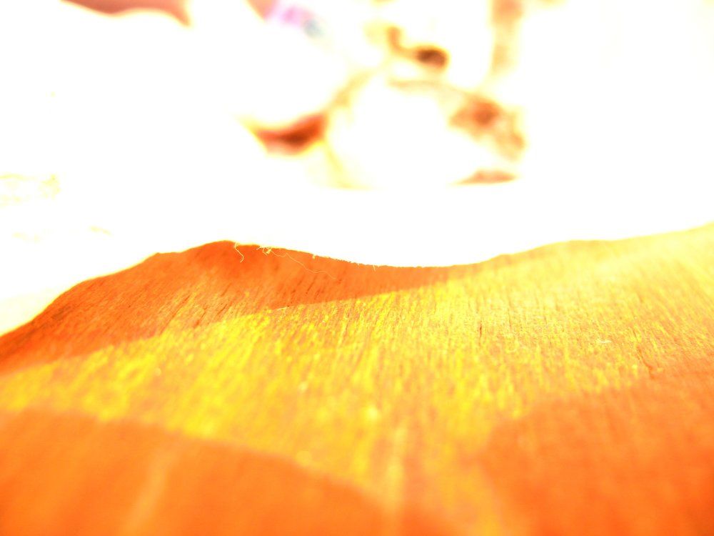 Photograph by Столярова Ольга