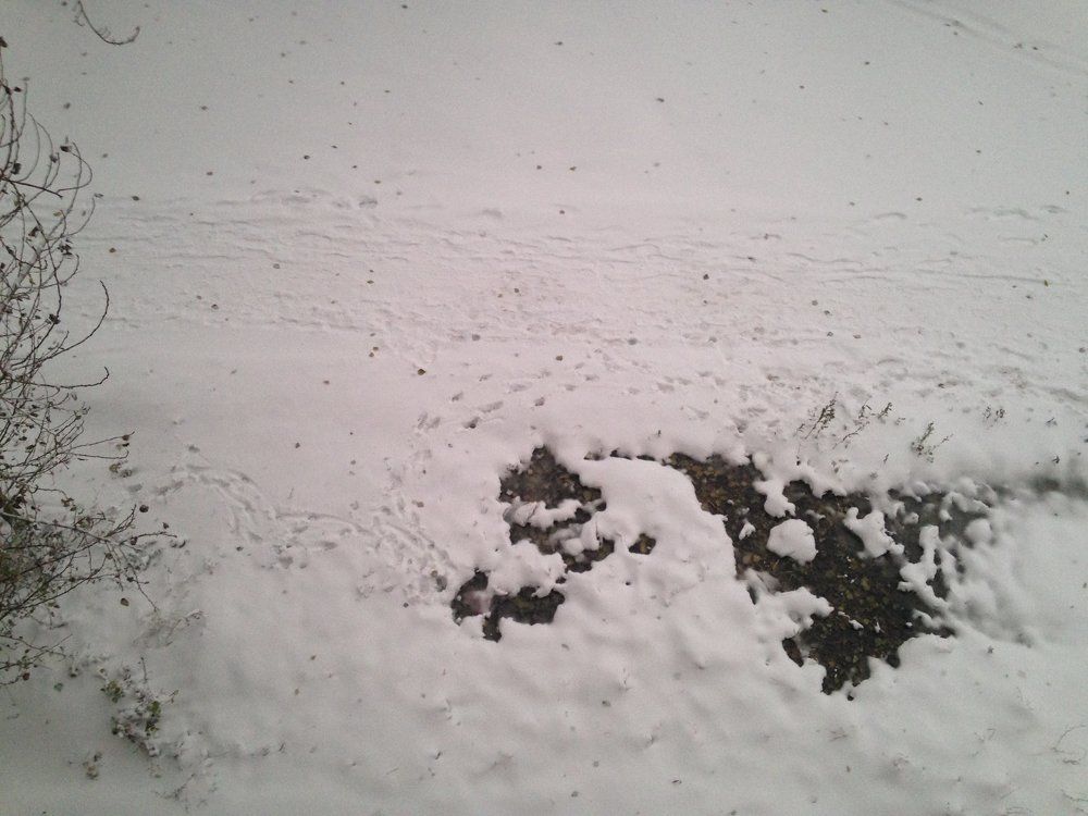 Photograph by Столярова Ольга