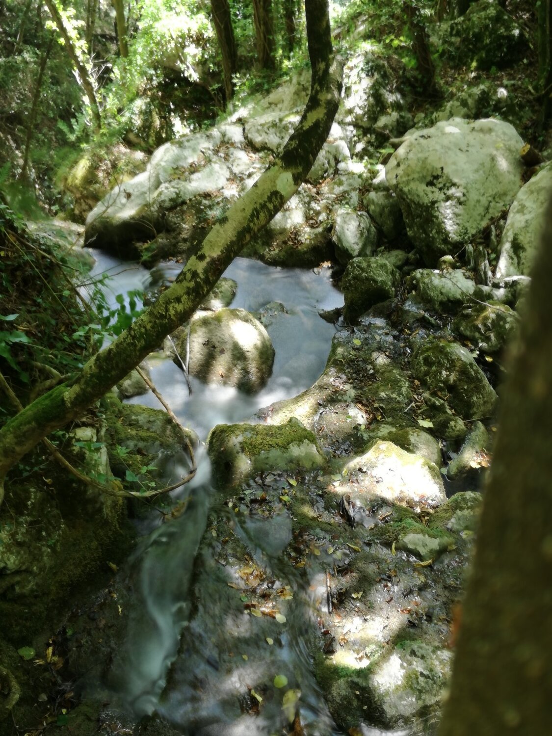 Ruscello