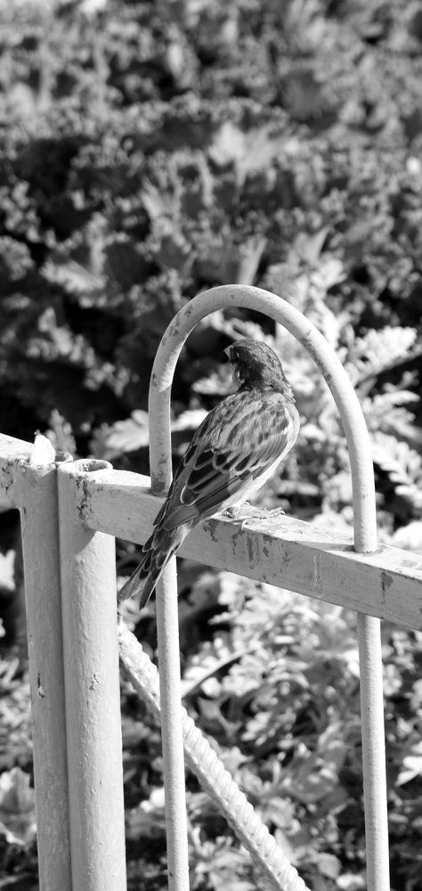 Photograph by Цыпленкова Валерия