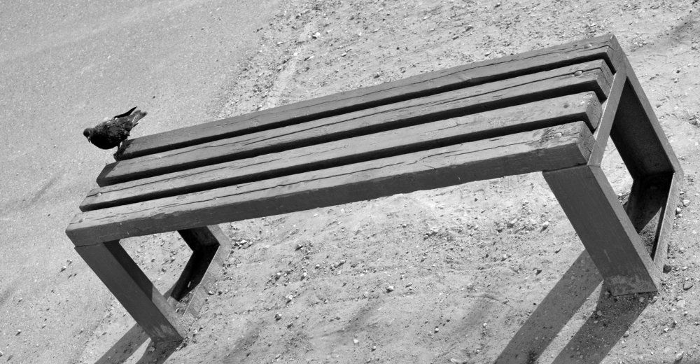 Photograph by Цыпленкова Валерия