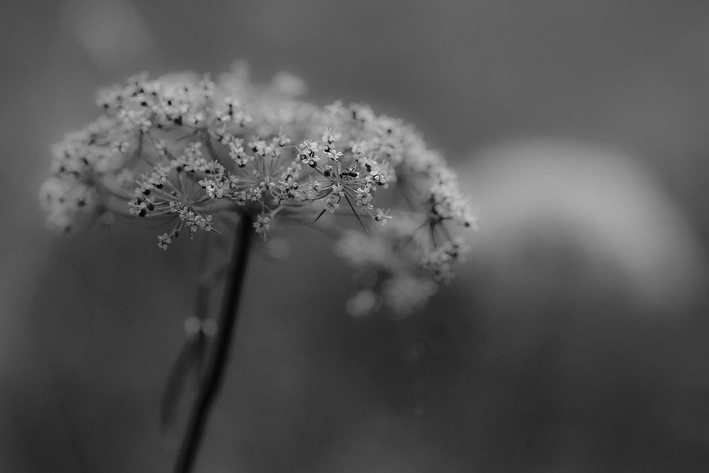 Photograph by Александр Егоров