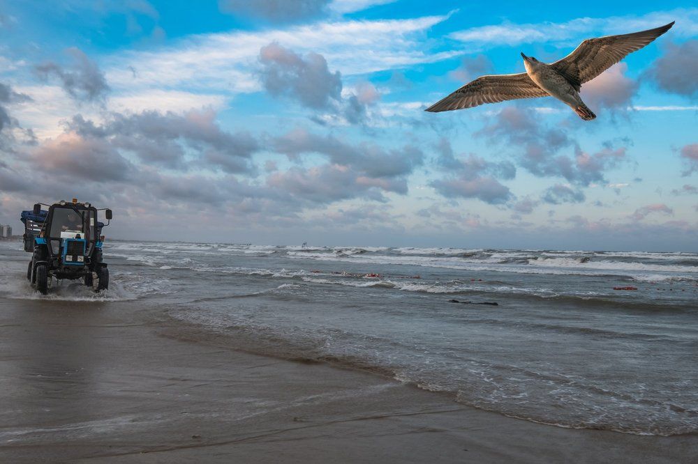 Буревестник