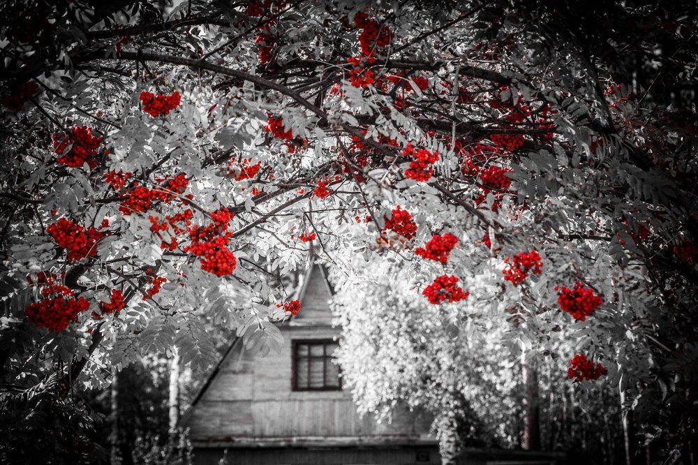 черно красное