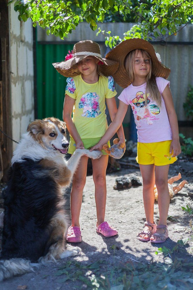 Верные друзья