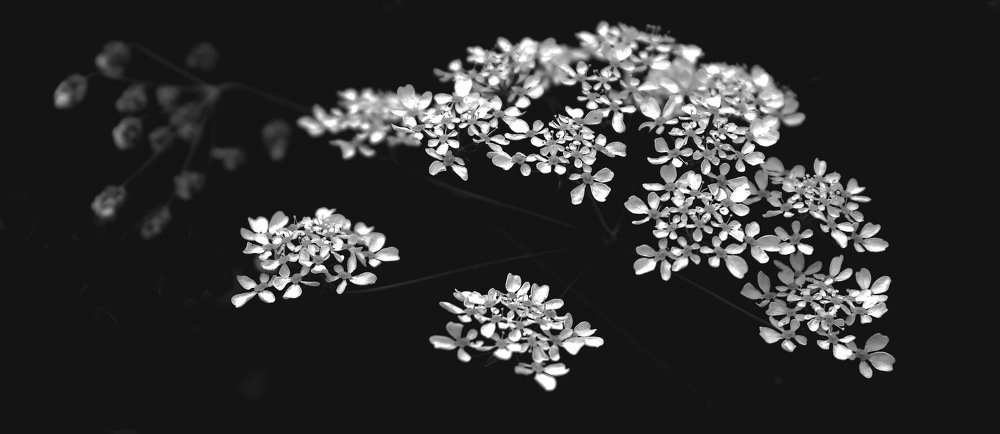 Фотография автора Владислава Андрюнина