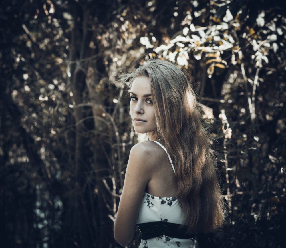 лестная фея