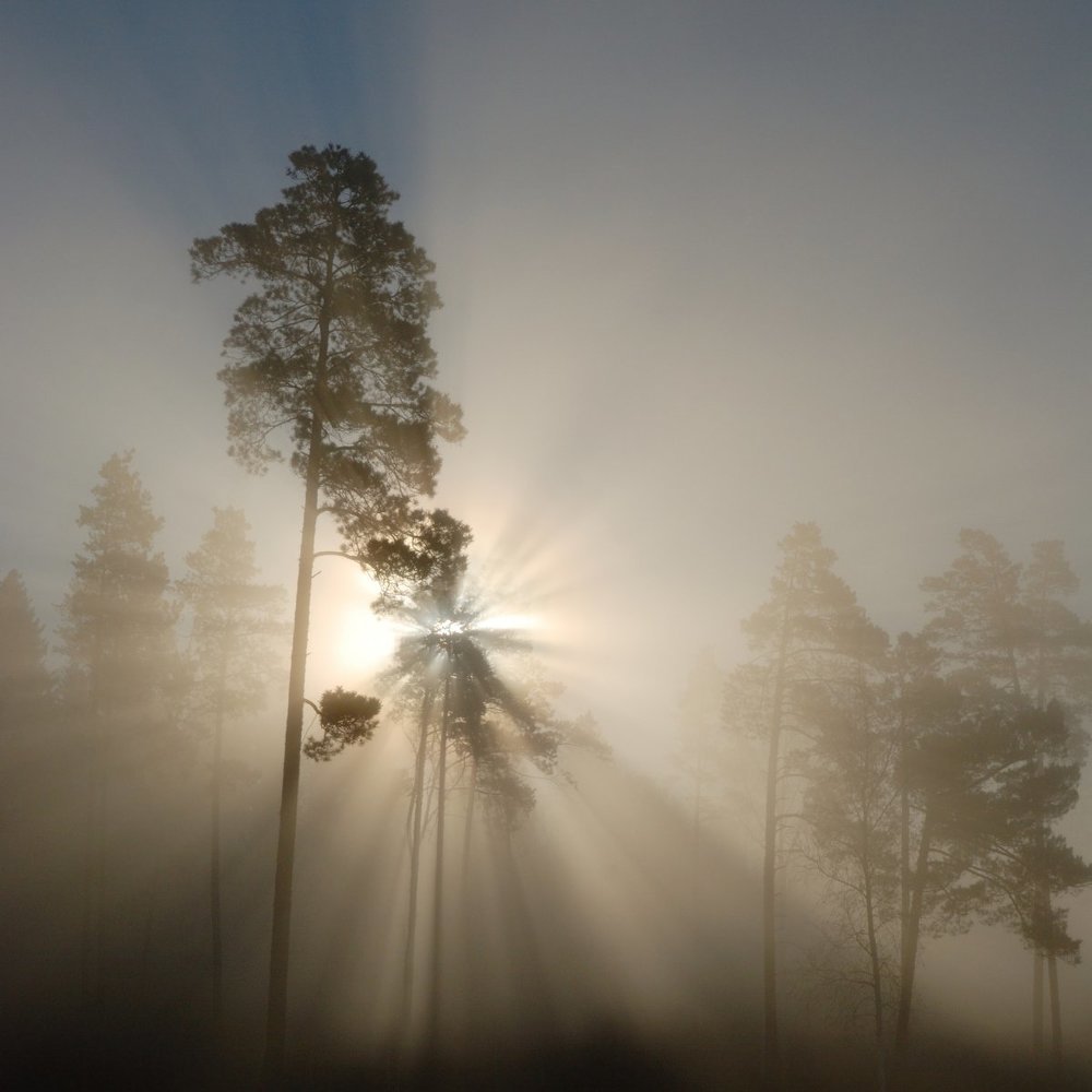 Ночь пройдет, наступит утро ясное... Солнце взойдет!