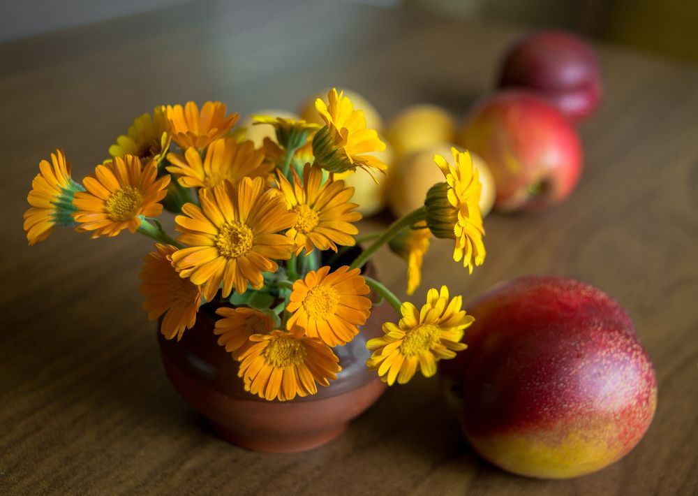 без названия