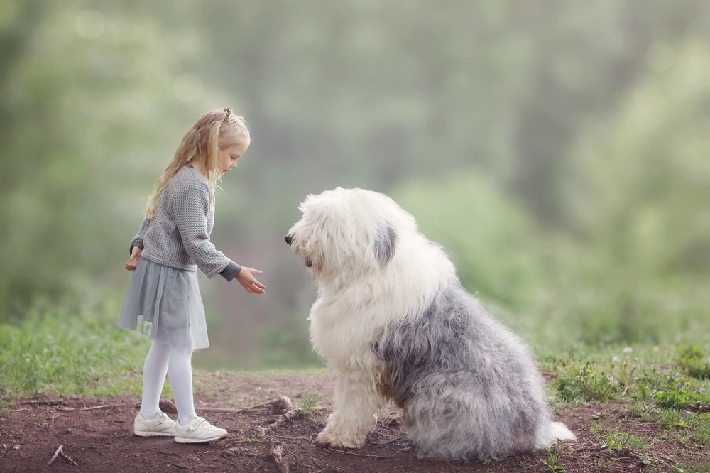 Photograph by Анна Сапегина