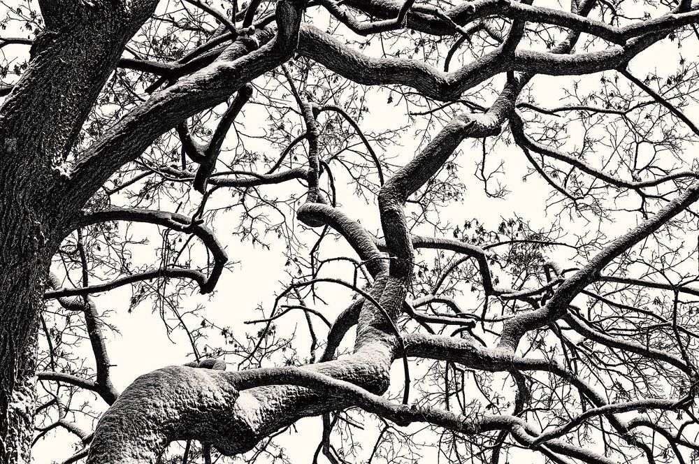 Photograph by Анна