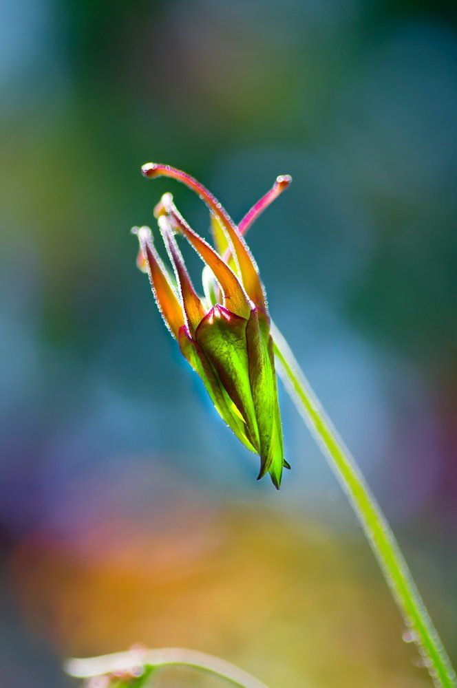 Photograph by Тараненко Анжелика