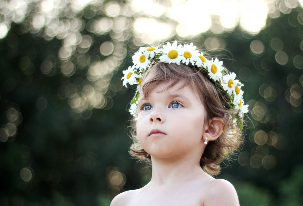 Венок из ромашек