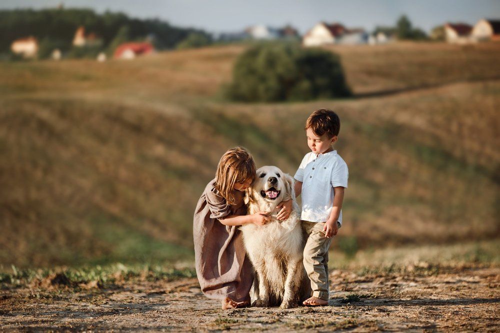 Photograph by Екатерина Митина