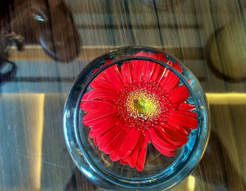 Red- The colour of love and sacrifice