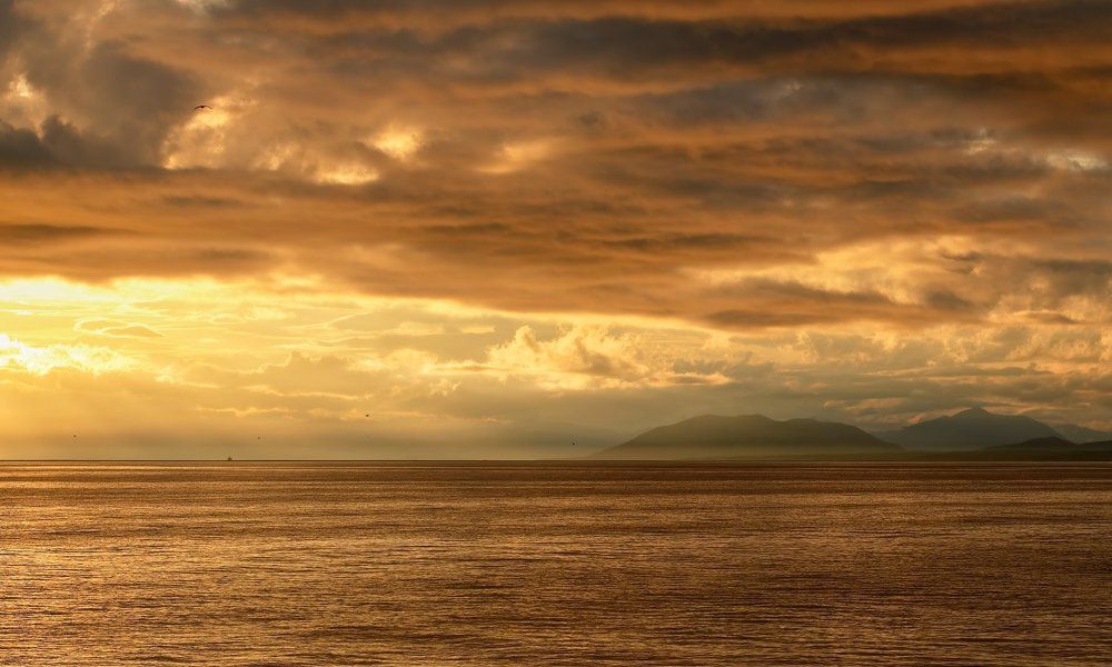 рыжее ненастье