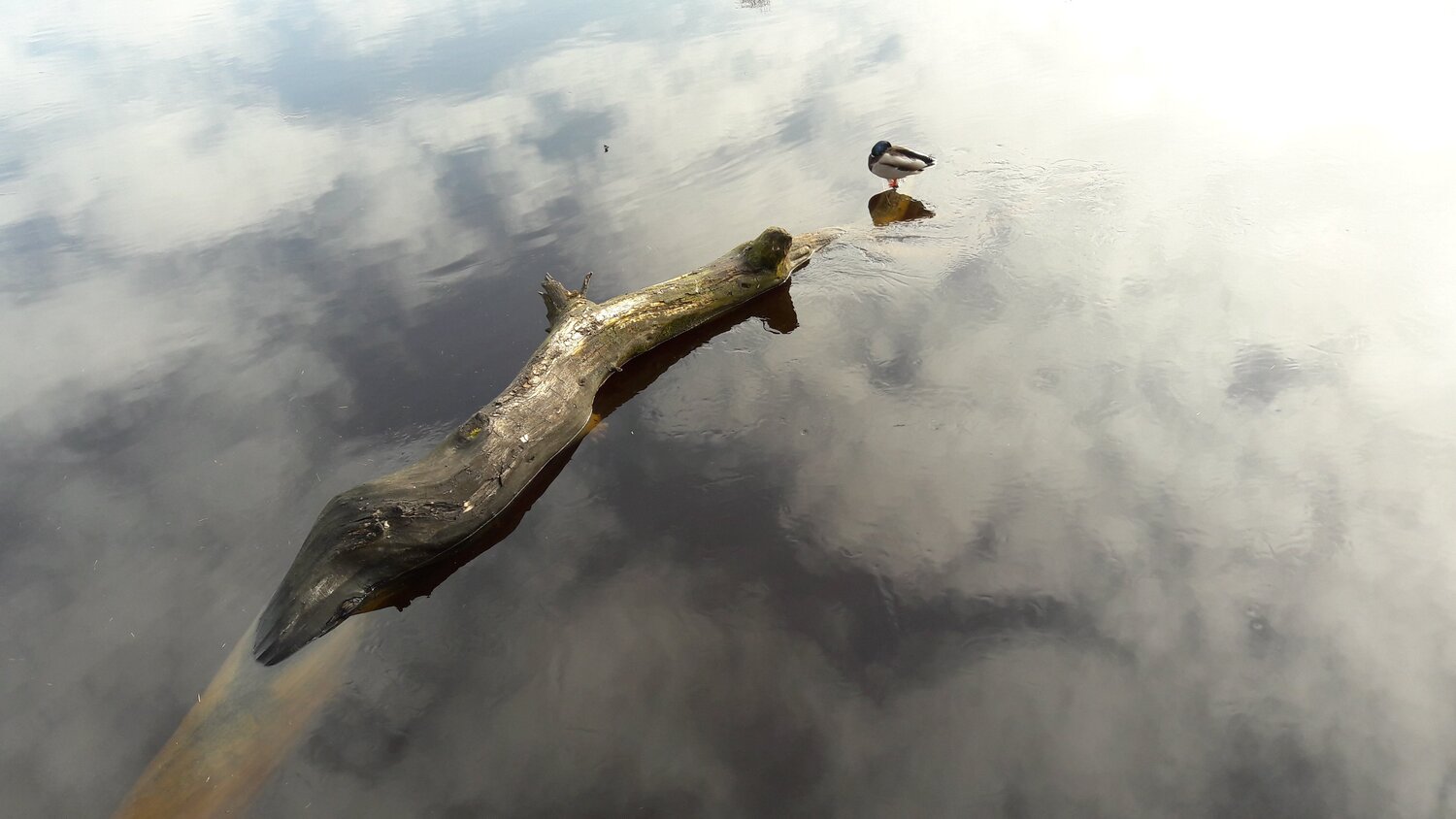 Между небом и водой