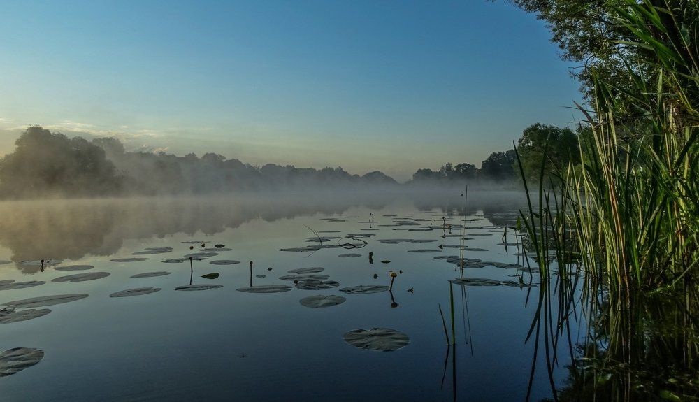 Тишь да гладь