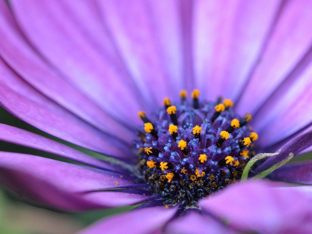 Photograph by Алексей Фомичев