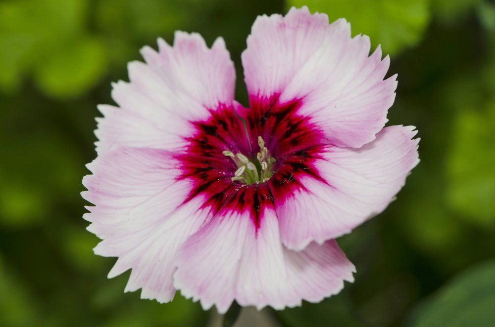 Photograph by Алексей Фомичев