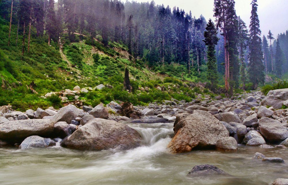 Nature