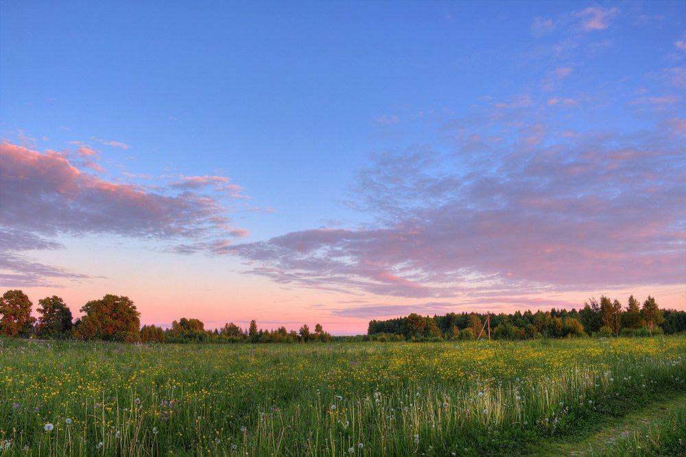 Море травы и океан неба.