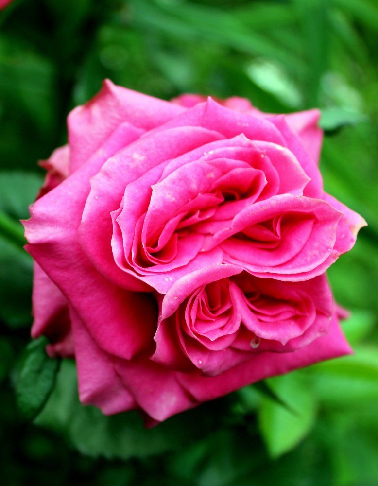 Photograph by Илона Дунаева