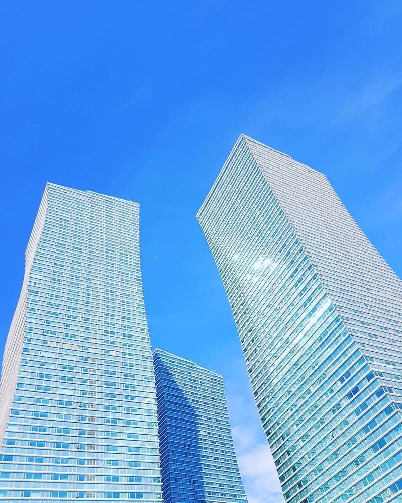The skyscrapers