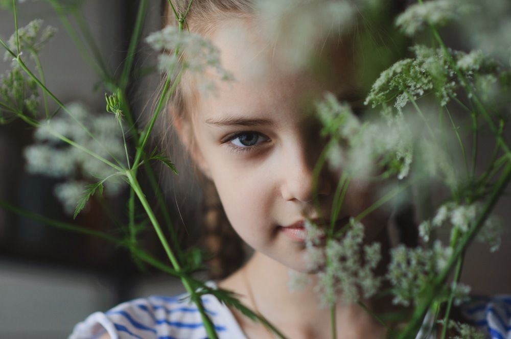 Взгляд в окно