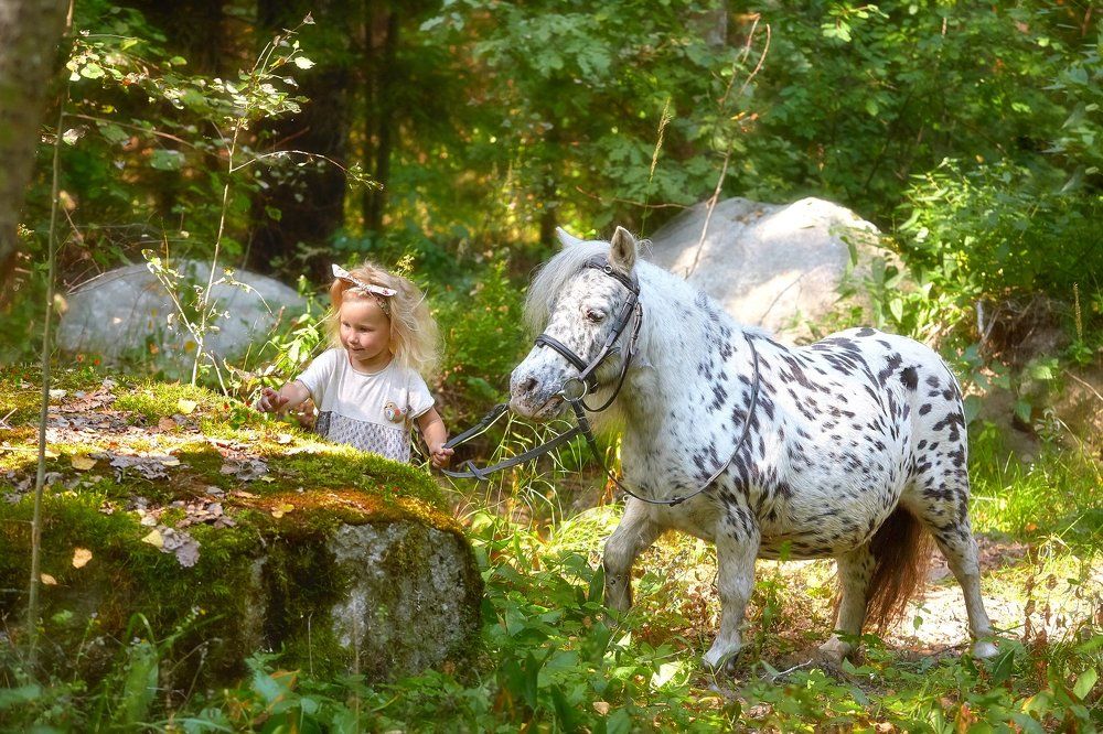 Как Варвара в сказку ходила