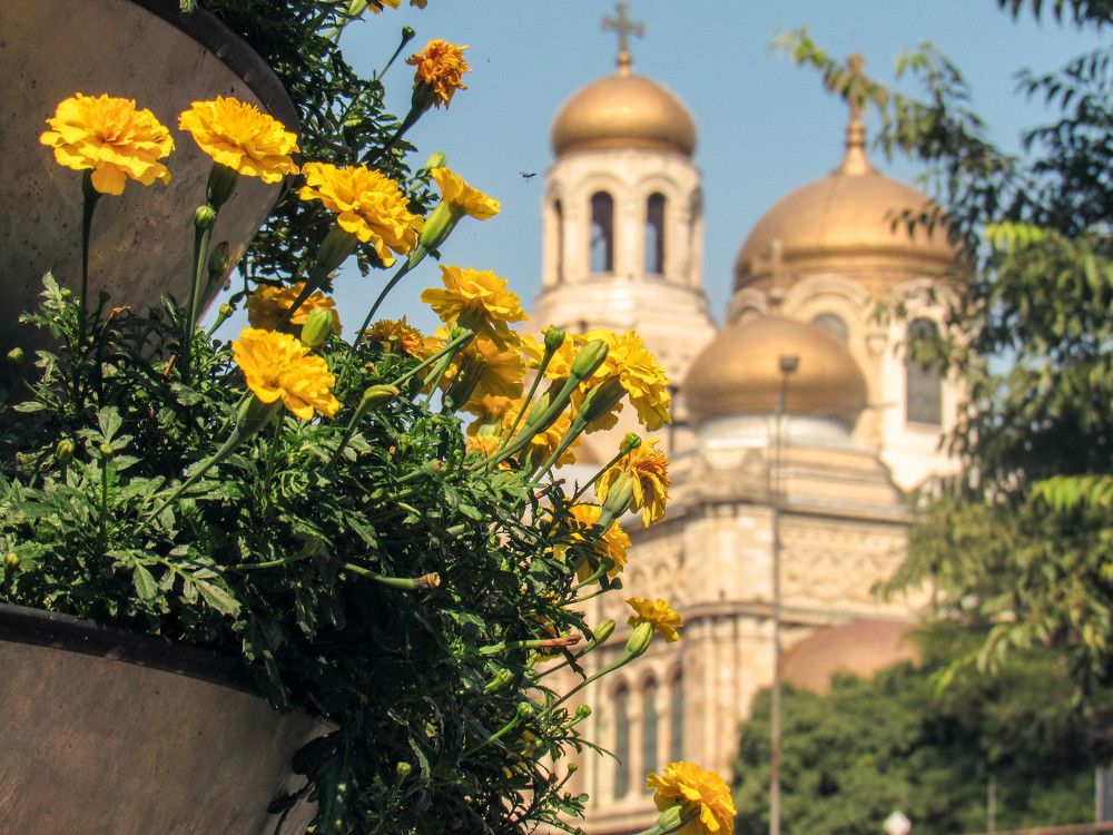 Photograph by Карина Хаустова