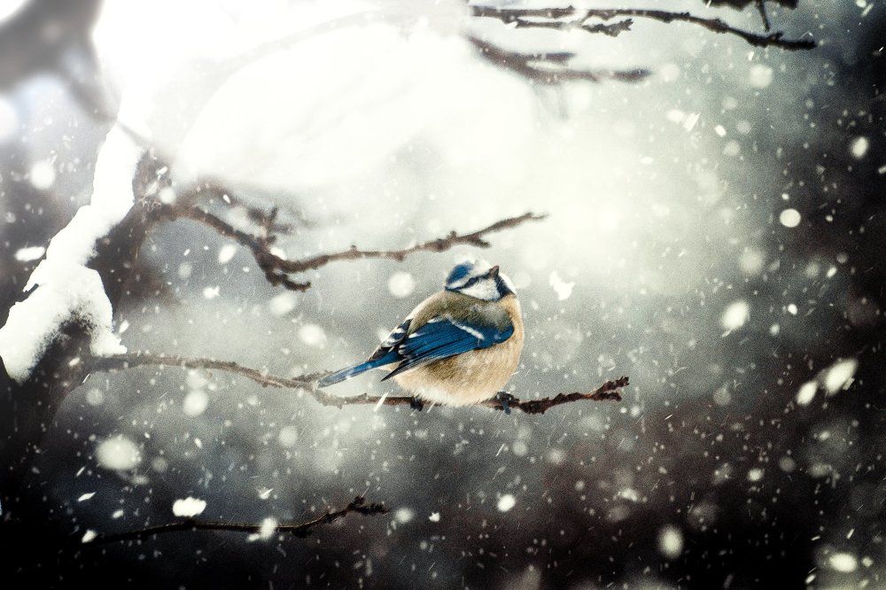 Photograph by Reznichenko Dmitry