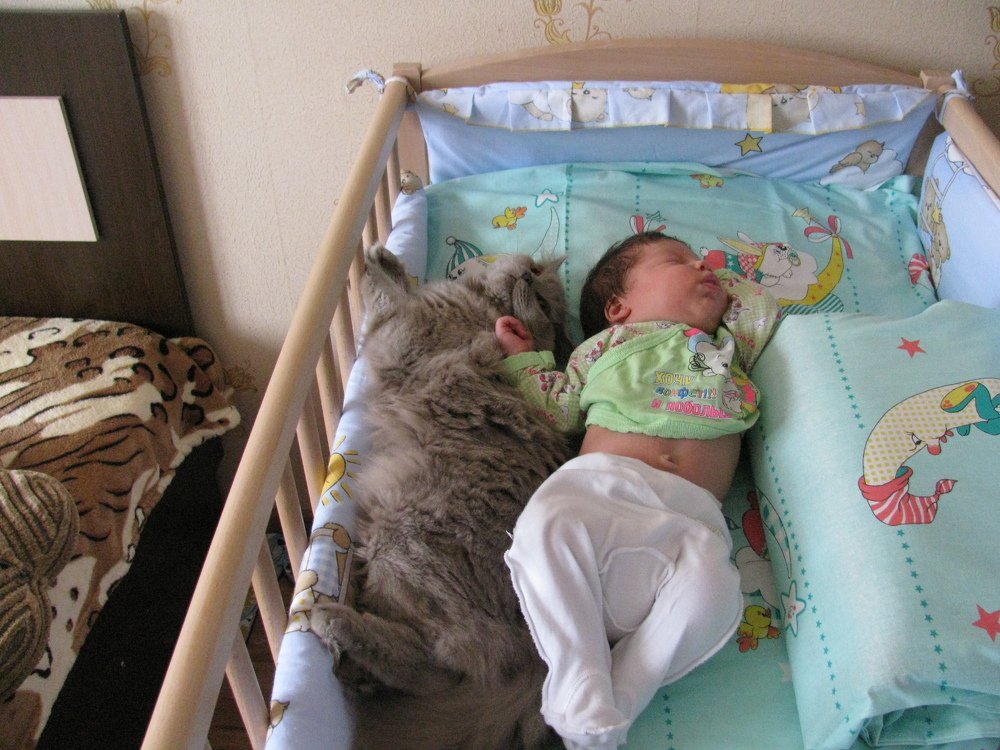 Photograph by владимир