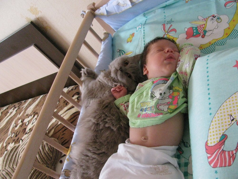 Photograph by владимир