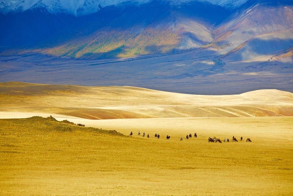 Горы золотые