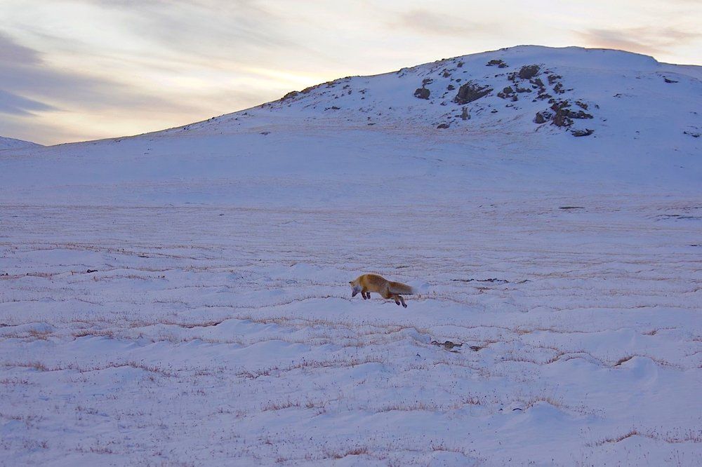 Миг и вечность
