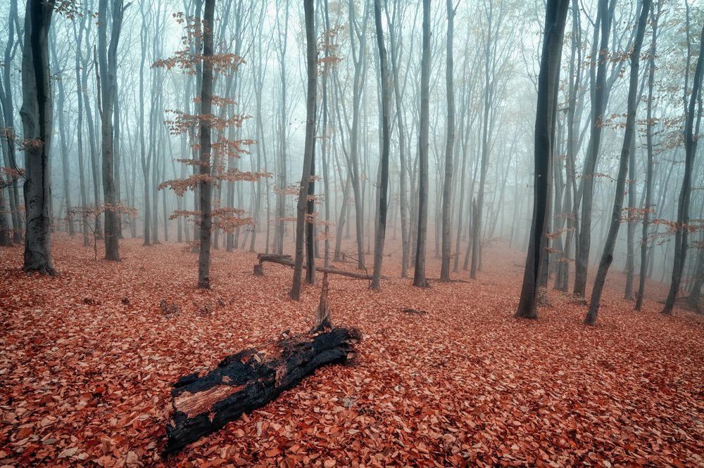 Фотография автора Юрий Юрьев