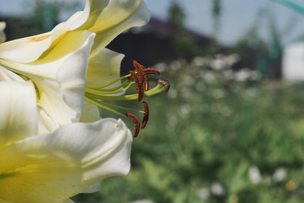 Photograph by Кристина (catykristi) Данилова