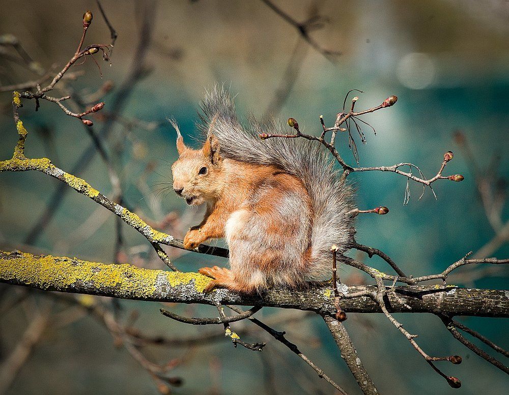 Photograph by Михайлов Семен