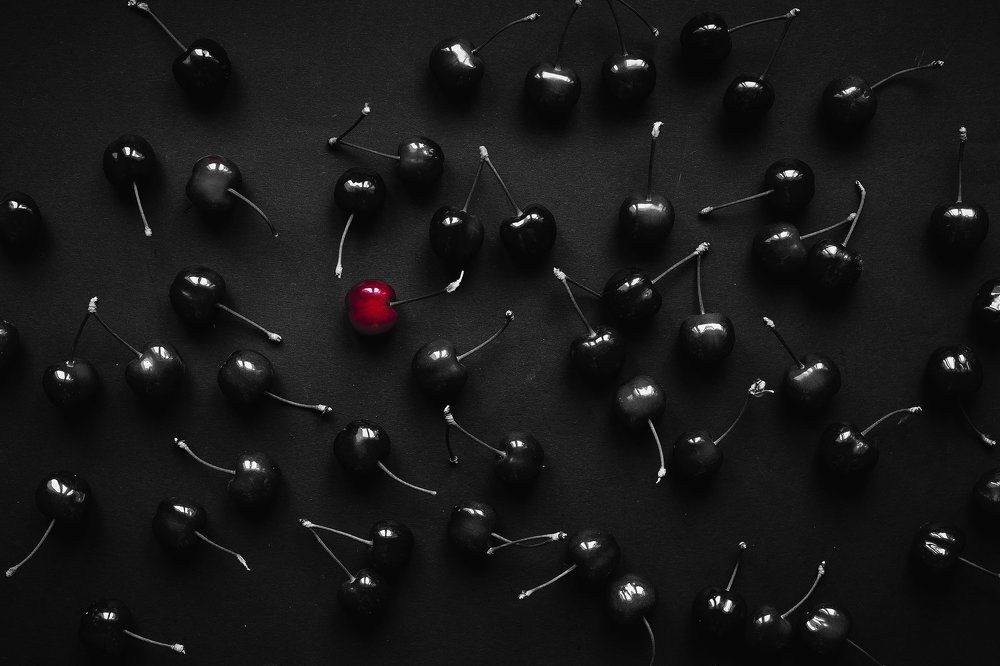 Not like everyone else