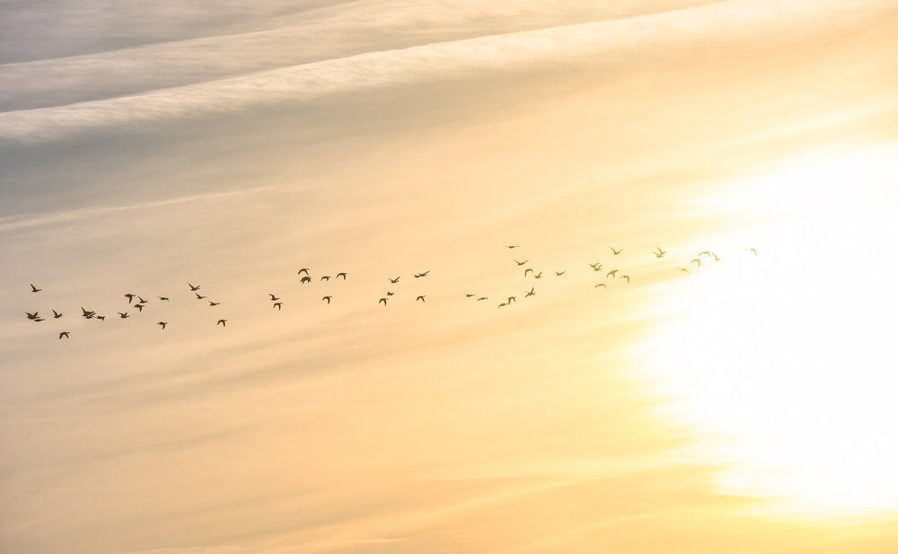 В добрый путь