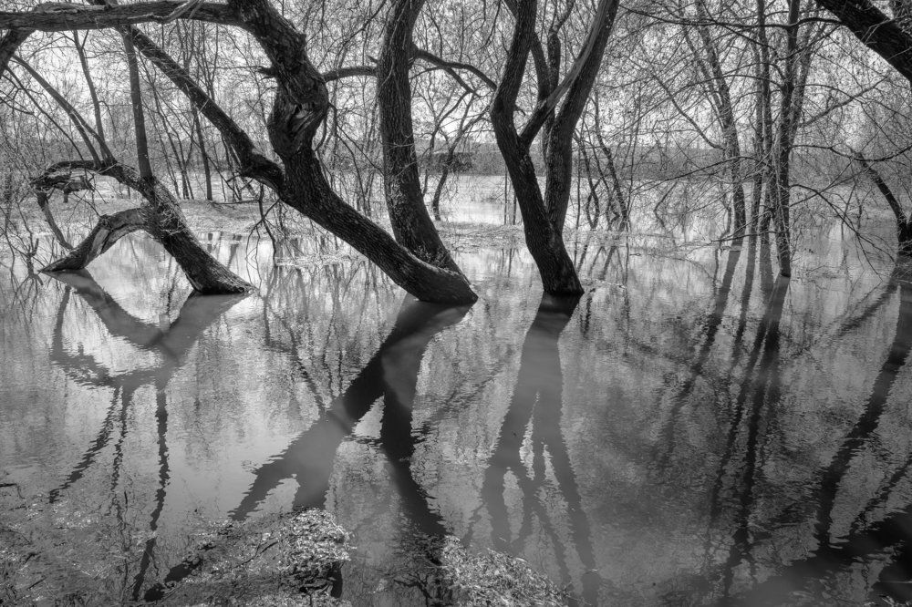 Заколдованные