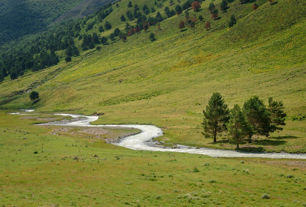 За излучиной реки