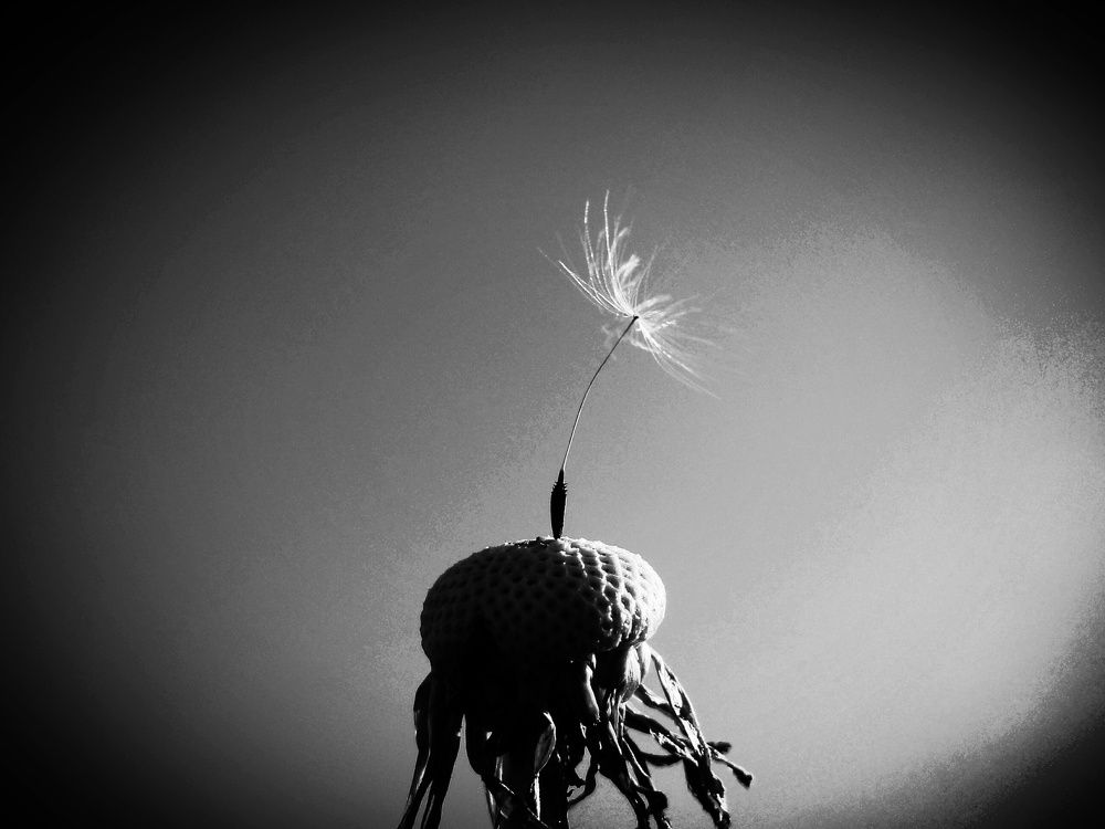 Photograph by Стефанова Татьяна