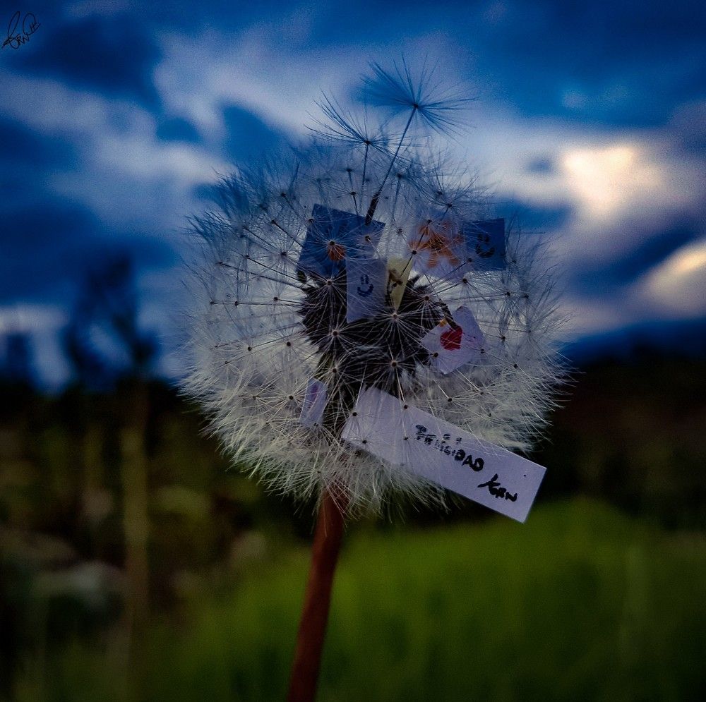 Happiness is in one.