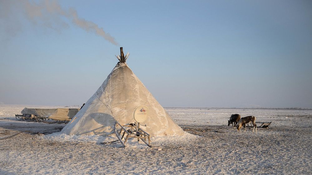 На ненецком стойбище