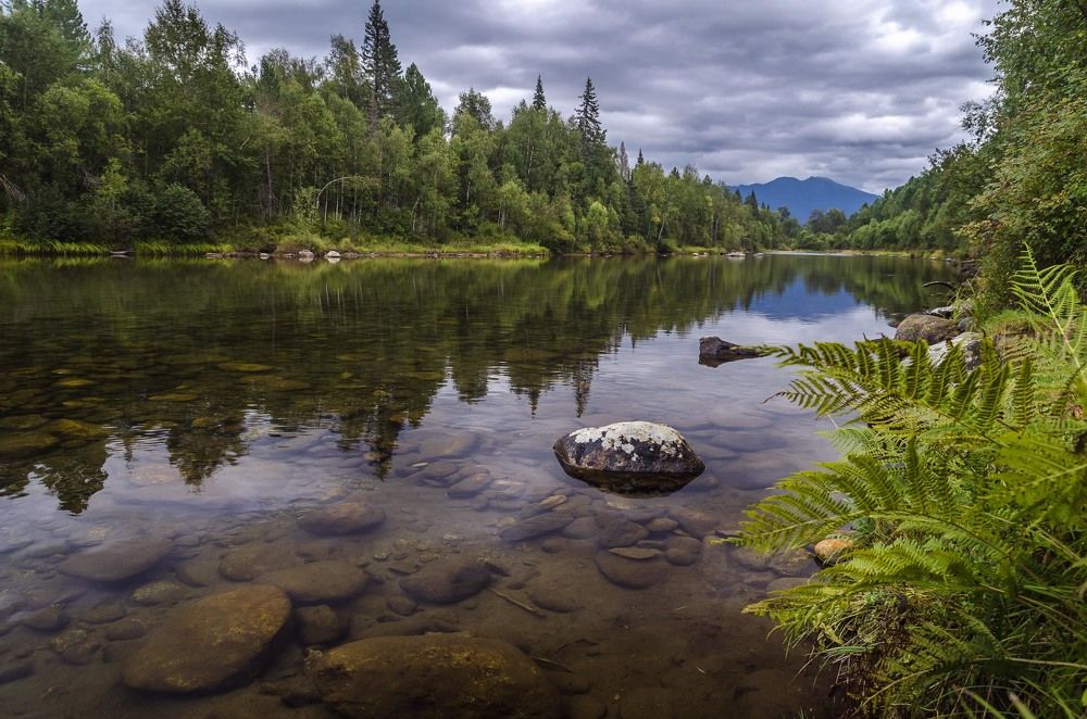 Таёжная тишина